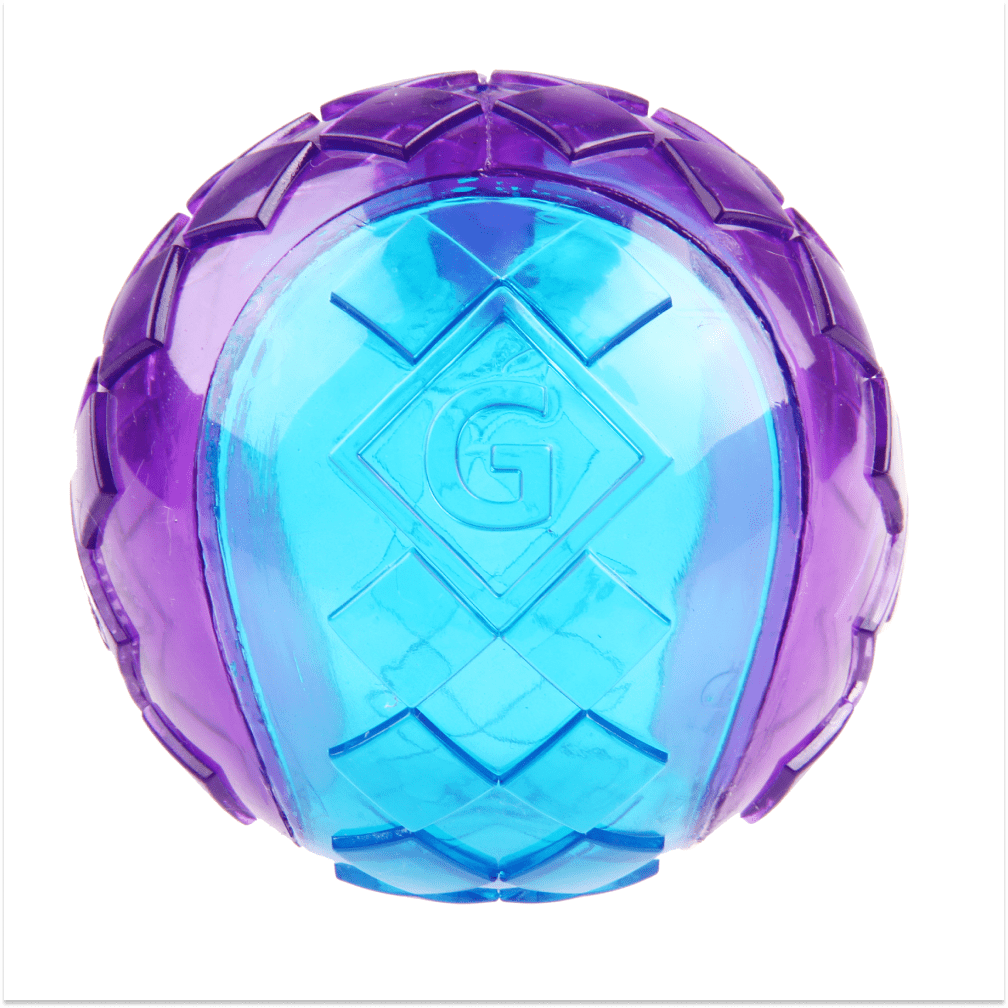 Ball Squeaker Toy for Dogs (Blue/Purple) | For Medium Chewers