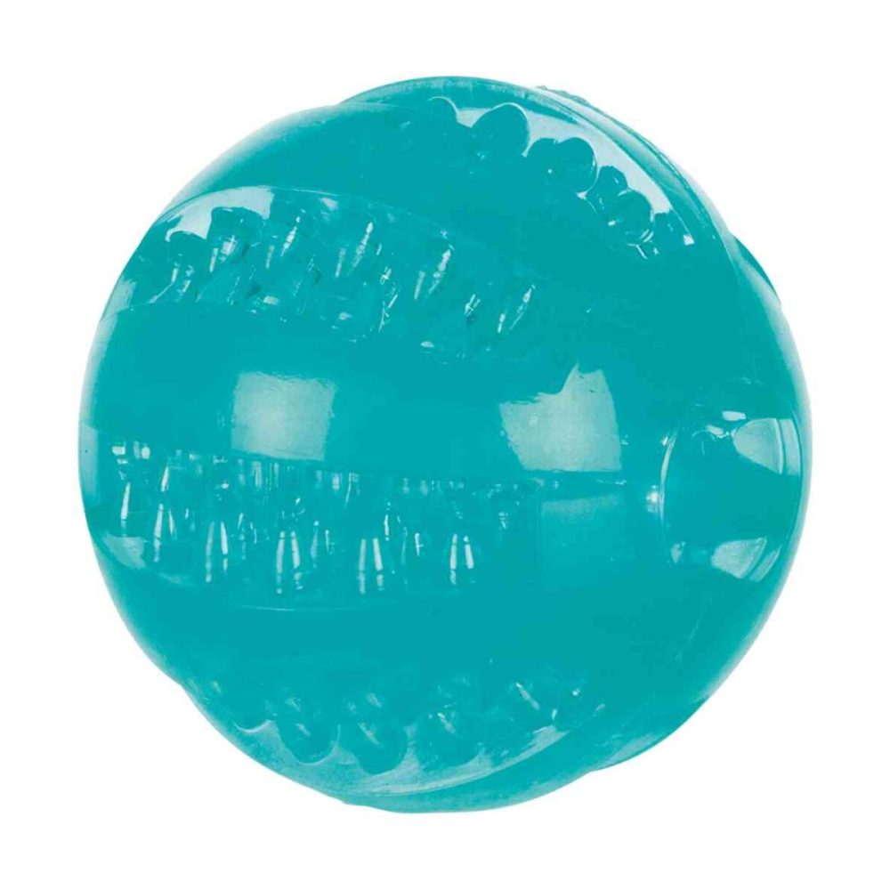 Mint Flavour TPR Rubber Toy for Dogs