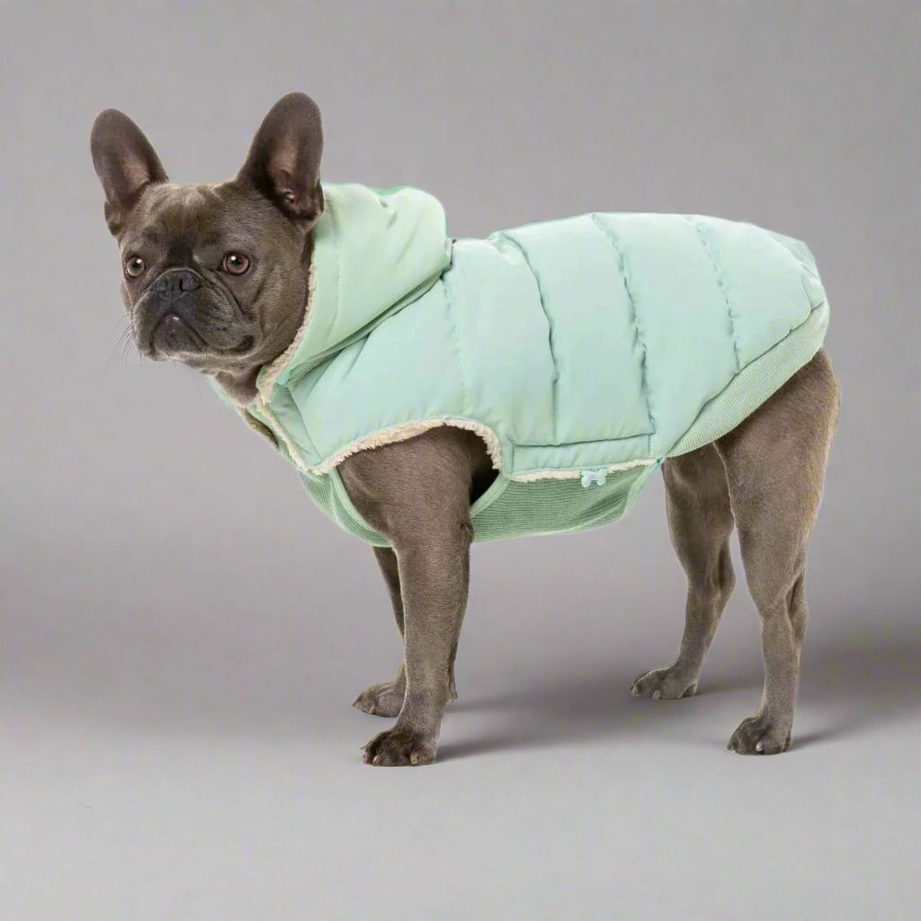 Essential Puffer Jacket - Mint