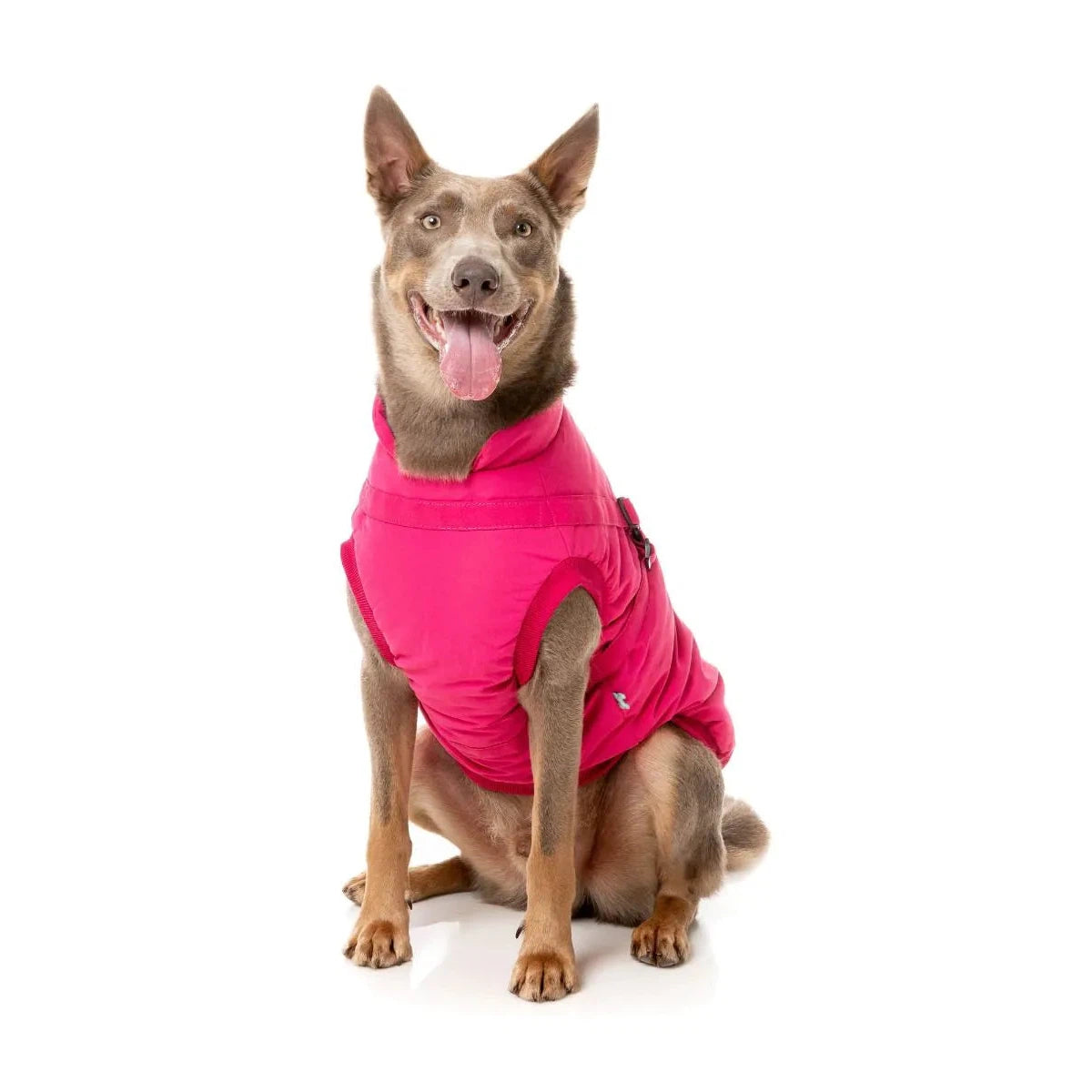 Jacket - Magenta